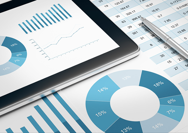 analisi report e rating di soggetti privati e aziende